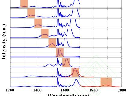 PPLN made by WISOPTIC.COM