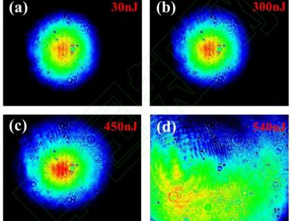 PPLN made by WISOPTIC.COM