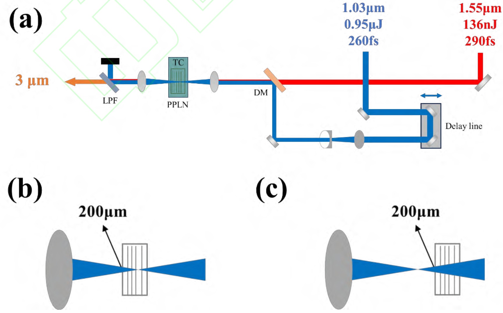 PPLN Crystal made by WISOPTIC.jpg