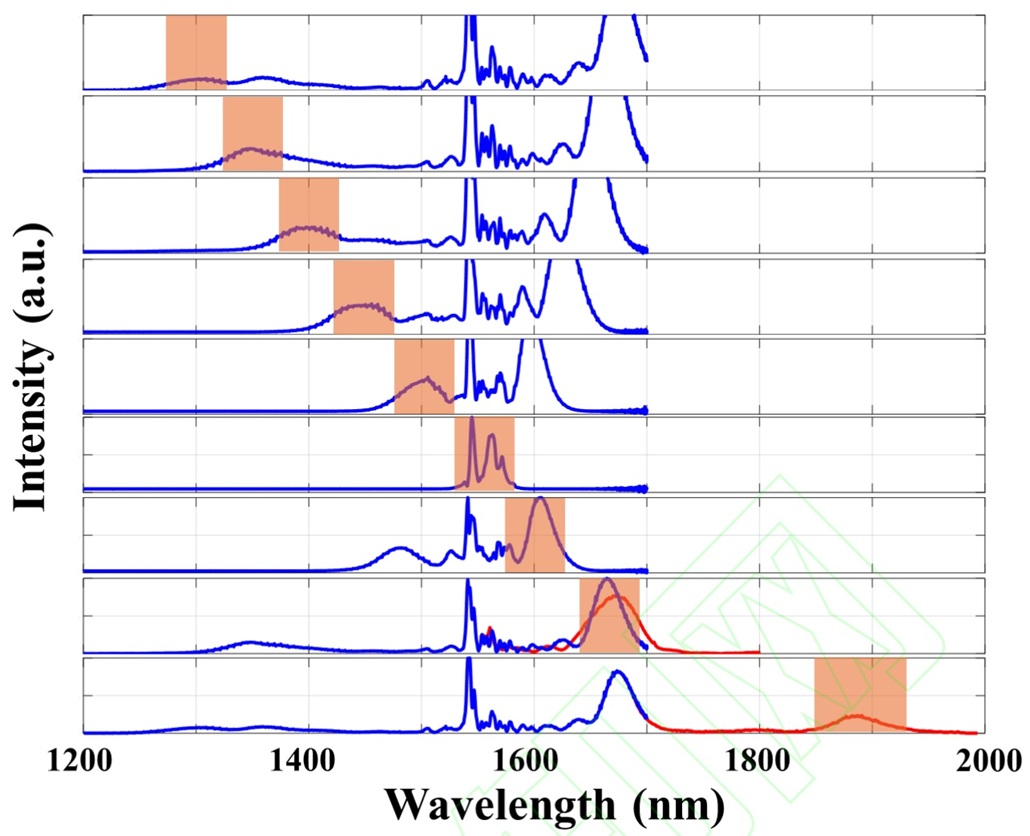 PPLN made by WISOPITC.jpg